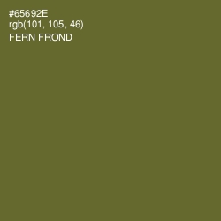 #65692E - Fern Frond Color Image